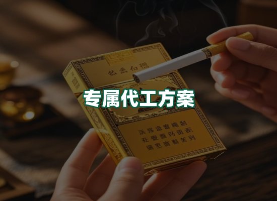 核心优势